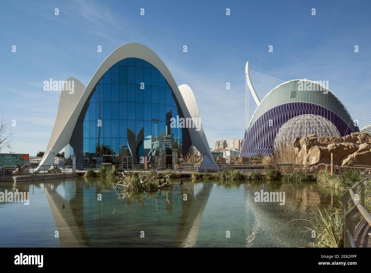 Access building to the oceanographic of the city of Valencia, Spain Stock Photo