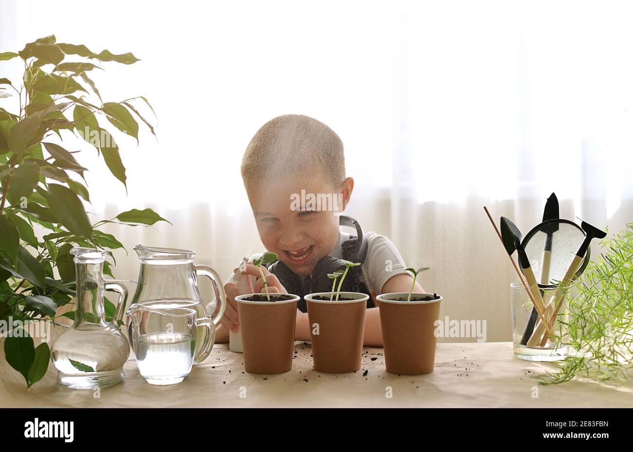 A caring child sprays with water from a of grown green cucumber. He laughs merrily, smiling with a toothless smile, squirts, indulges and misbehaves. Home gardening. Care and cultivation of plants. Stock Photo