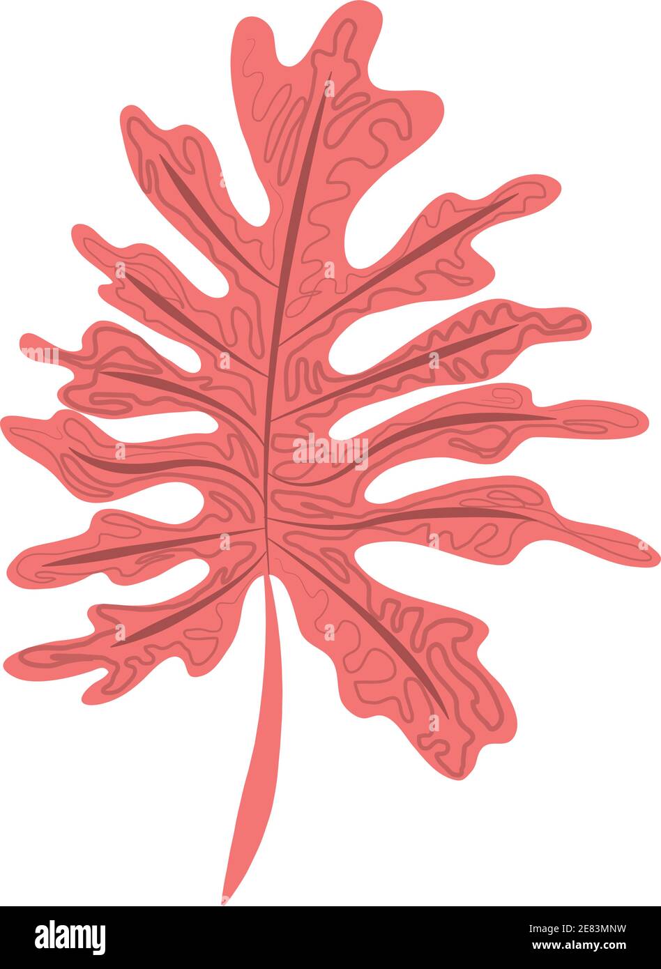 tropical leaf exotic foliage abstract style icon vector illustration ...
