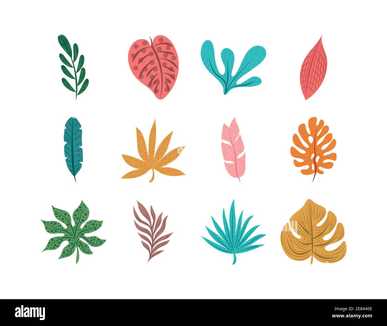 tropical leaf leaves foliage nature decoration icon set flat design ...