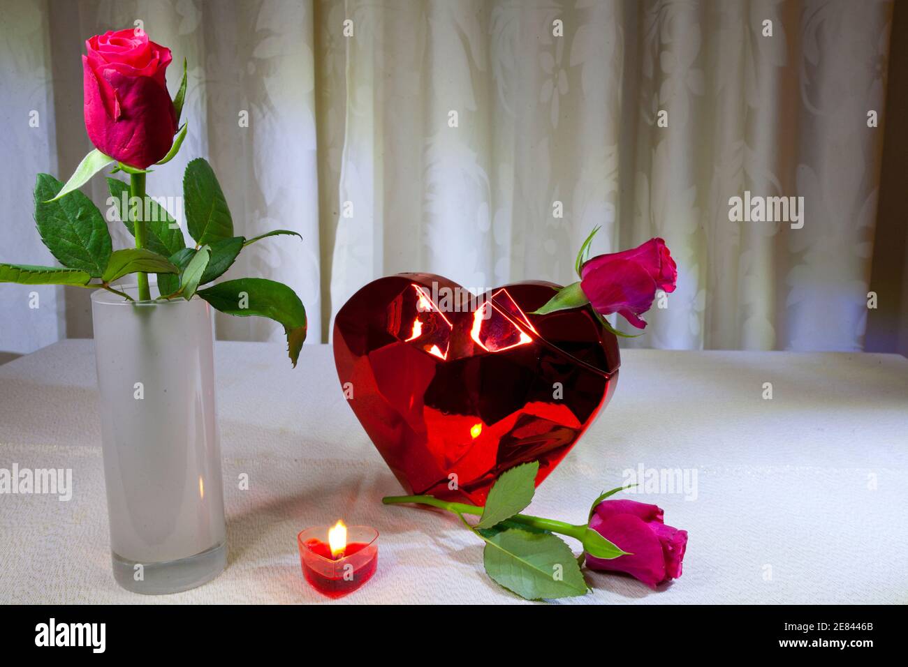 The red rose is a symbol for love and romance; Valentine's Day is ...