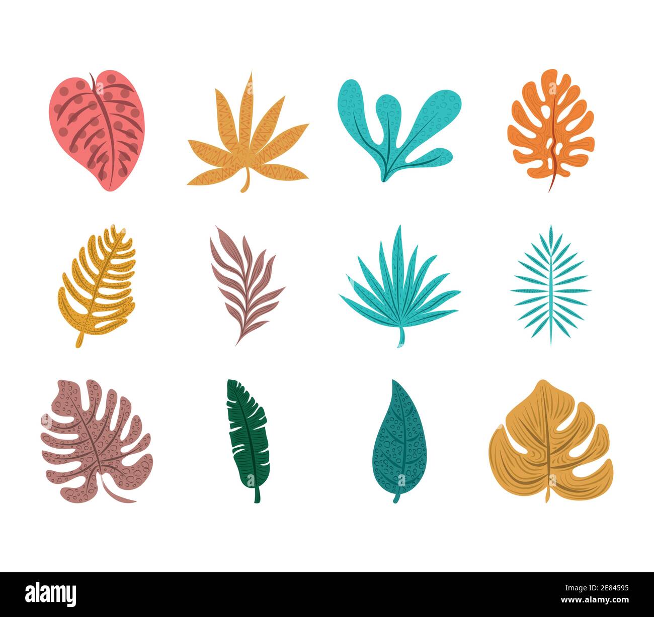 tropical leaf foliage exotic nature icon set flat design vector ...