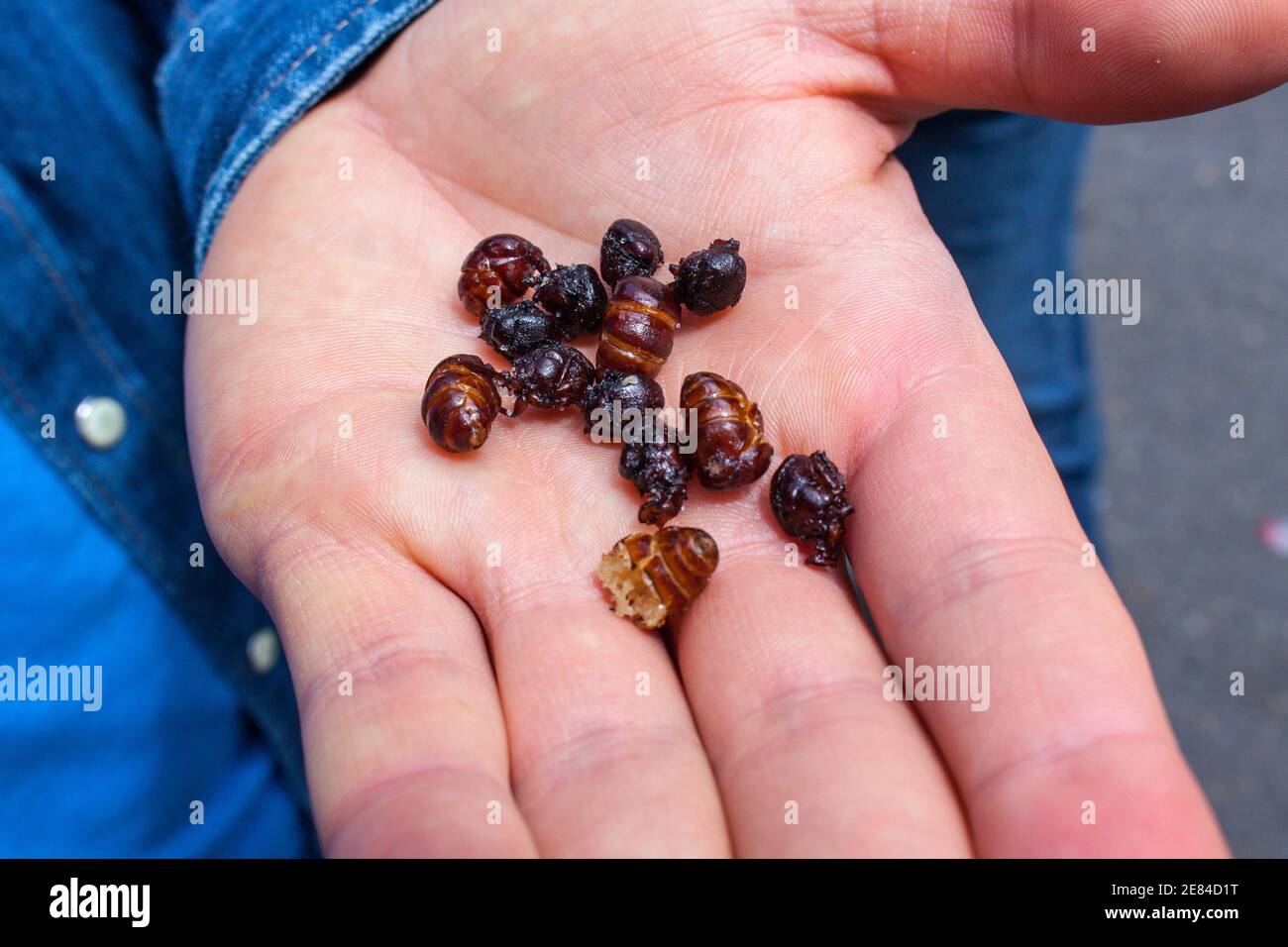 Big Fot High Resolution Stock Photography and Images - Alamy