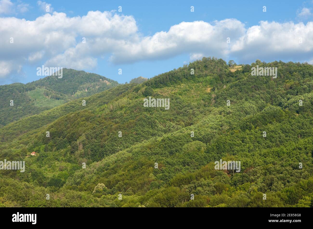 woodland of Devil's Town in southern Serbia Stock Photo