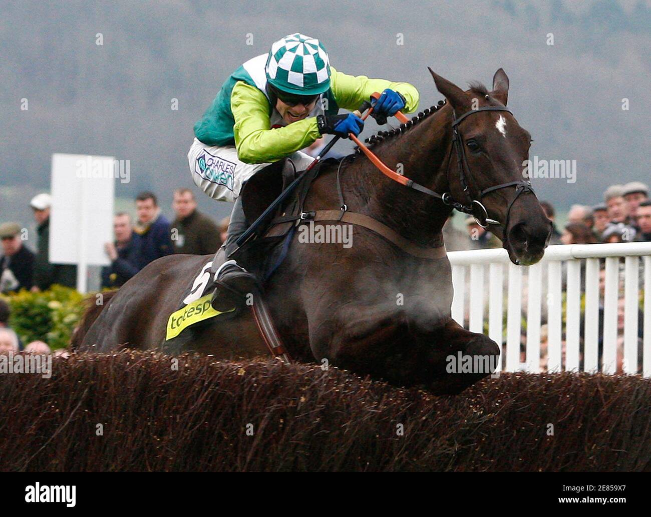 Sam Thomas on Denman jumps the last fence to win the totesport Cheltenham Gold Cup Steeple Chase on the fourth day of the Cheltenham Festival horse racing in Gloucestershire, western England, March 14, 2008. REUTERS/Eddie Keogh (BRITAIN) Stock Photo