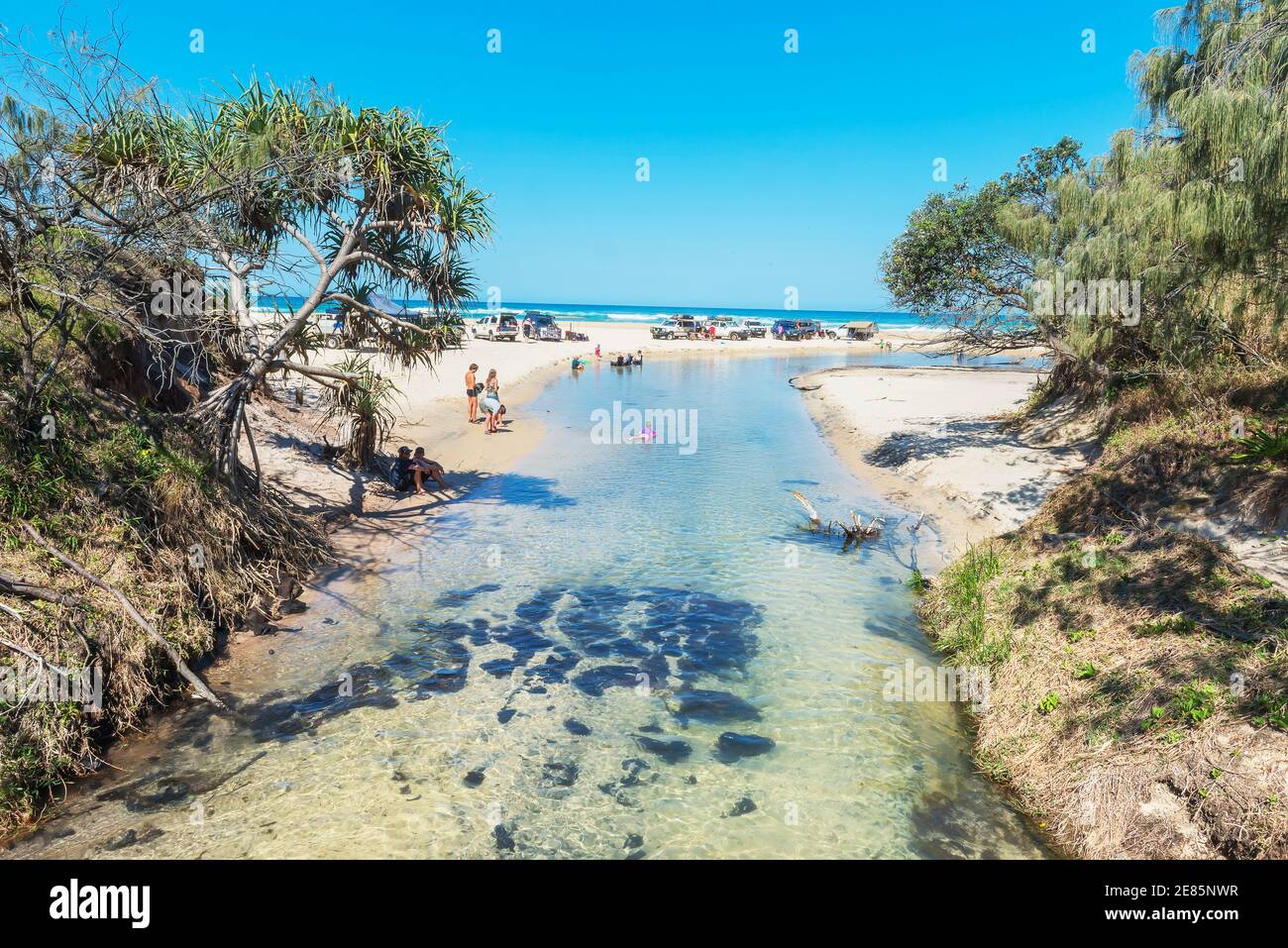 People enjoying Eli Creek, Great Sandy National Park, Fraser Island, Queensland, Australia, Stock Photo