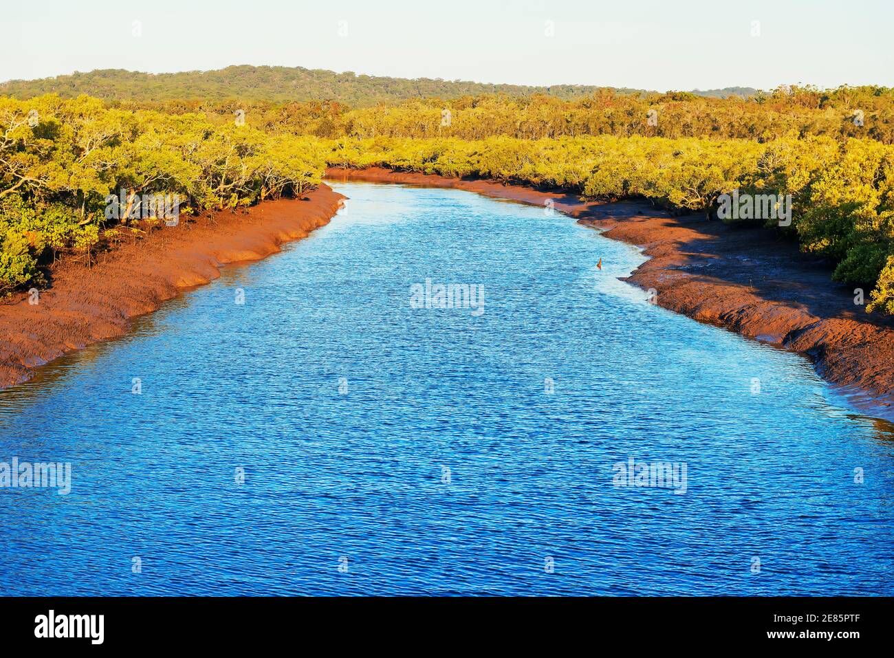 River stream, Fraser Island, Queensland, Australia, Stock Photo