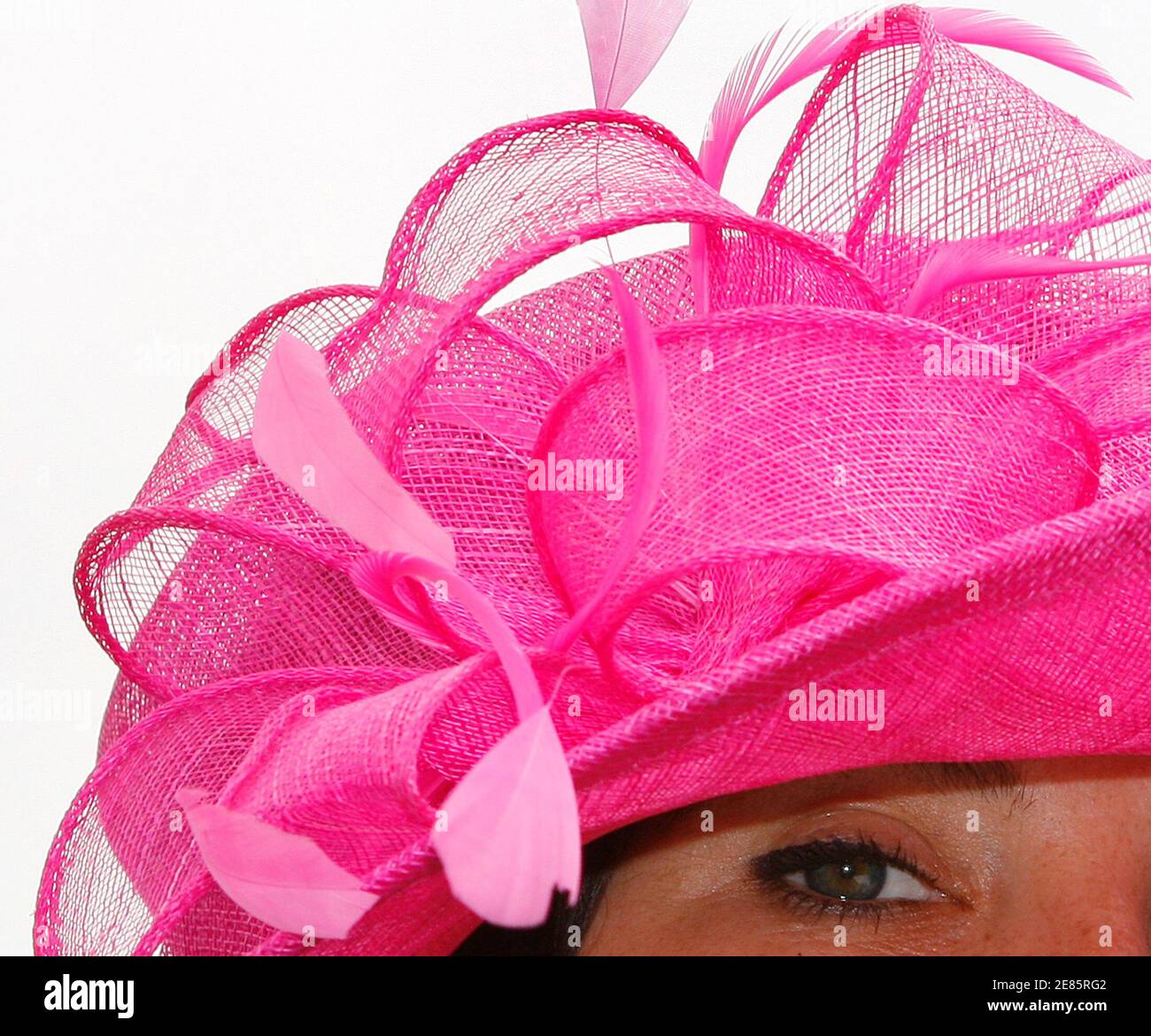A detail is seen on a woman's hat during Ladies day at the Epsom Derby Festival at Epsom Downs in Surrey, southern England June 6, 2008.      REUTERS/Darren Staples   (BRITAIN) Stock Photo