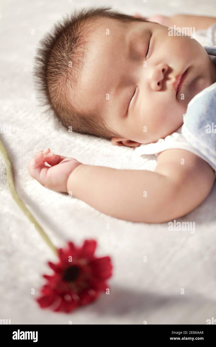 Asian chinese baby girl sleeping hi-res stock photography and images ...