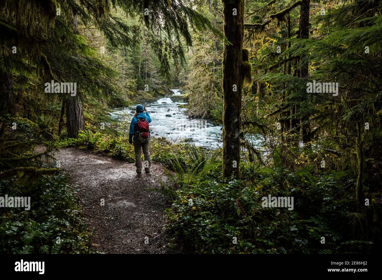 A woman taking pictures of the Skokomish river in the Staircase Rapids ...