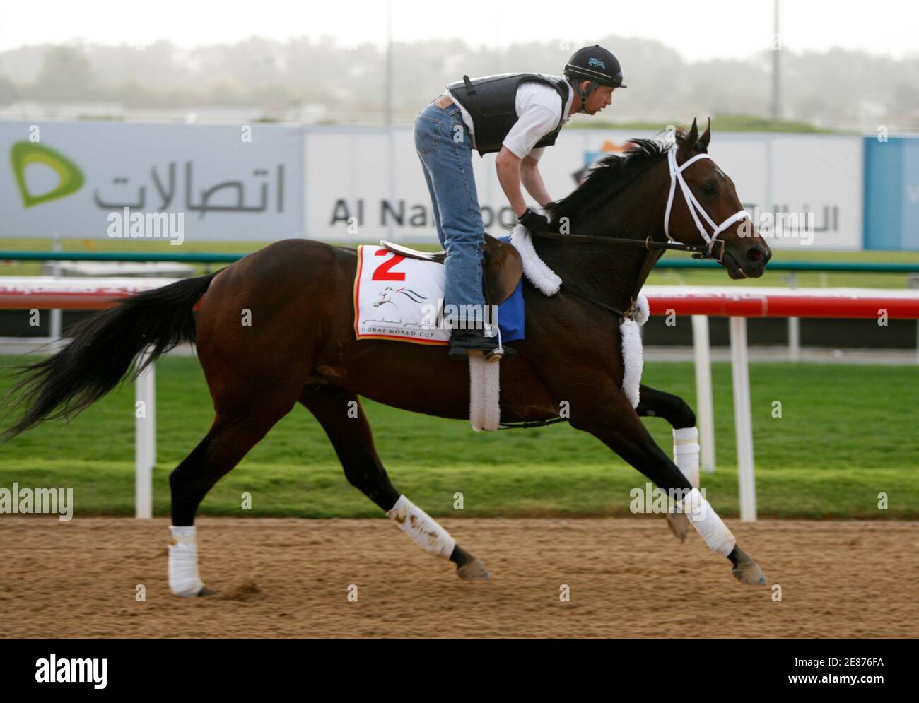 Invasor from the U.S. gallops during morning training at the Nad al Sheba race track in Dubai March 29, 2007. The Dubai World Cup horse race with a purse of $6,000,000 will take place March 31.  REUTERS/Caren Firouz  (UNITED ARAB EMIRATES) Stock Photo