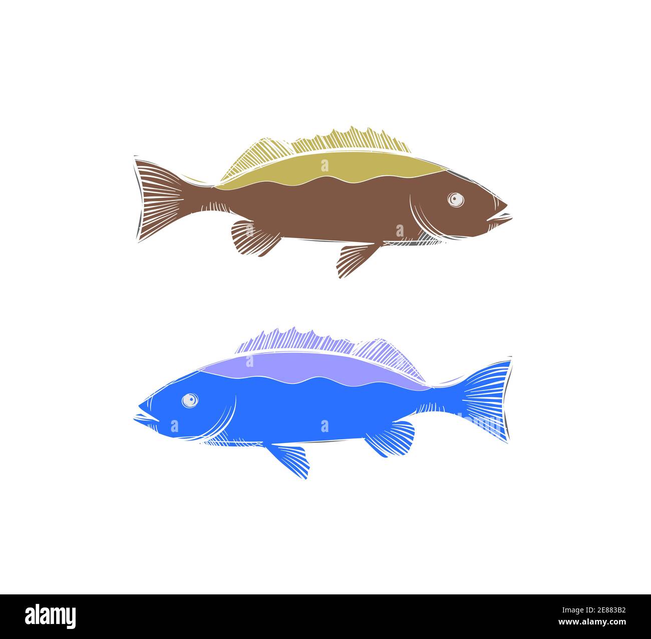 Carp vector vectors hi-res stock photography and images - Alamy