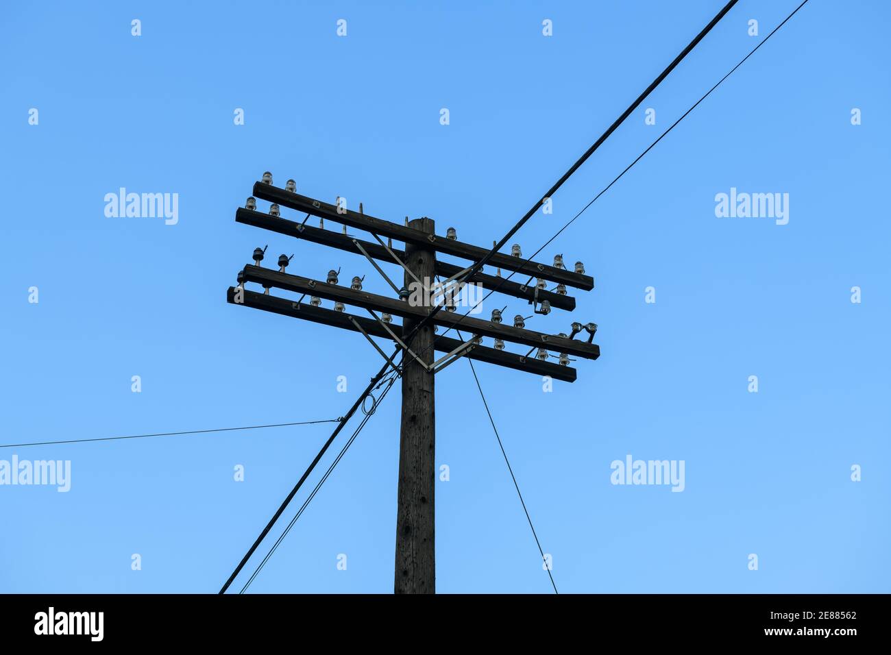 A telegraph pole with glass insulators Stock Photo Alamy