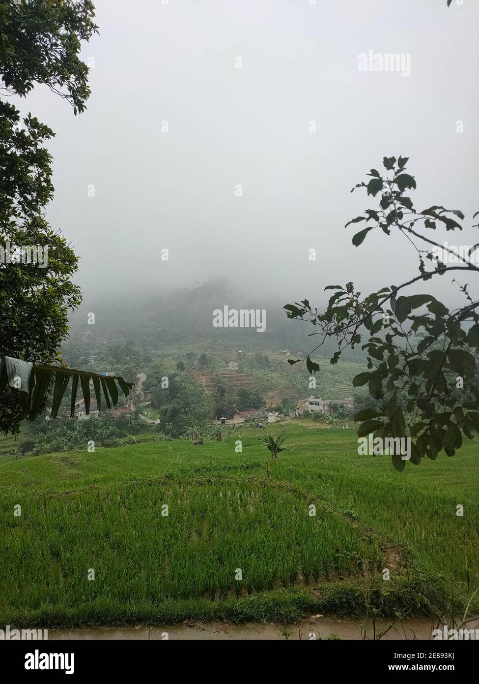 Village of rush hill hi-res stock photography and images - Alamy