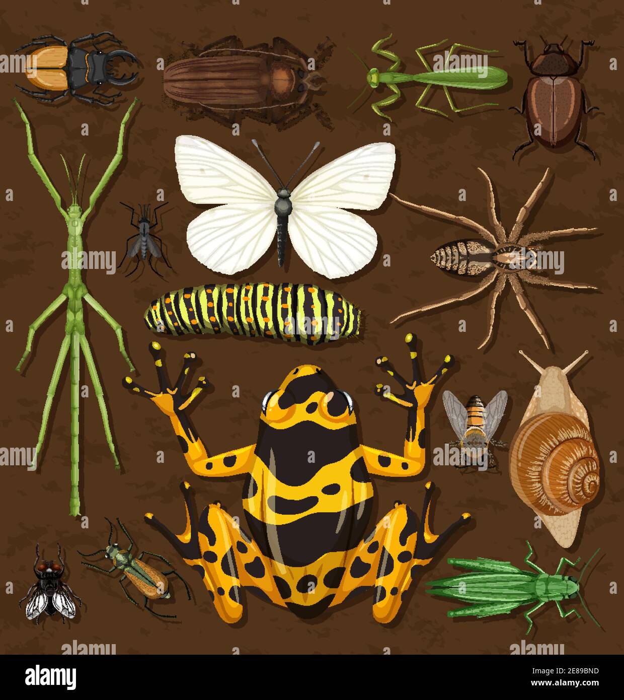 Set of different insects on wooden wallpaper background illustration