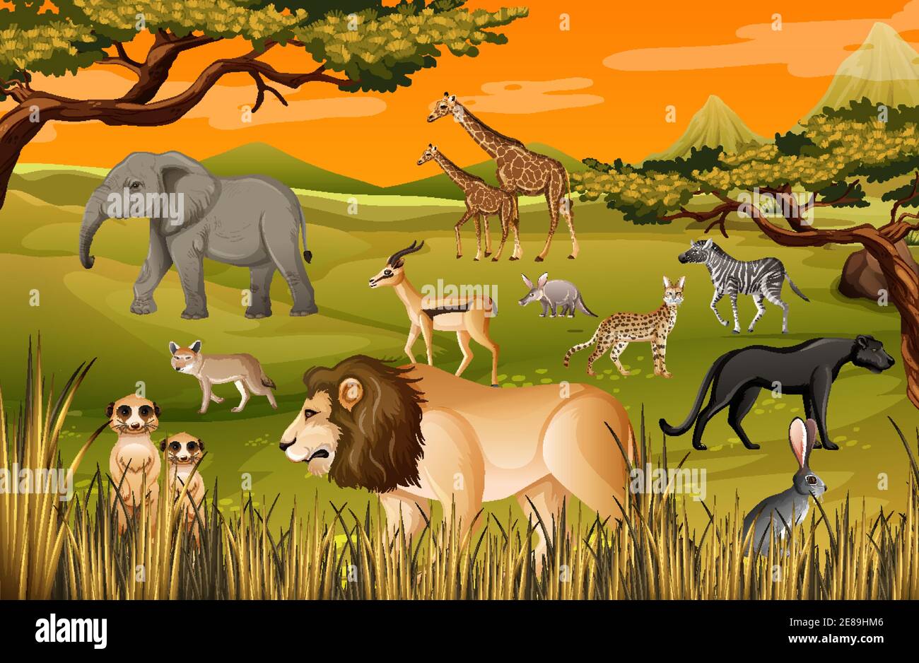 Group of Wild African Animal in the forest scene illustration Stock Vector Image & Art - Alamy Group of Wild African Animal in the forest scene illustration Stock Vector Image & Art - Alamy