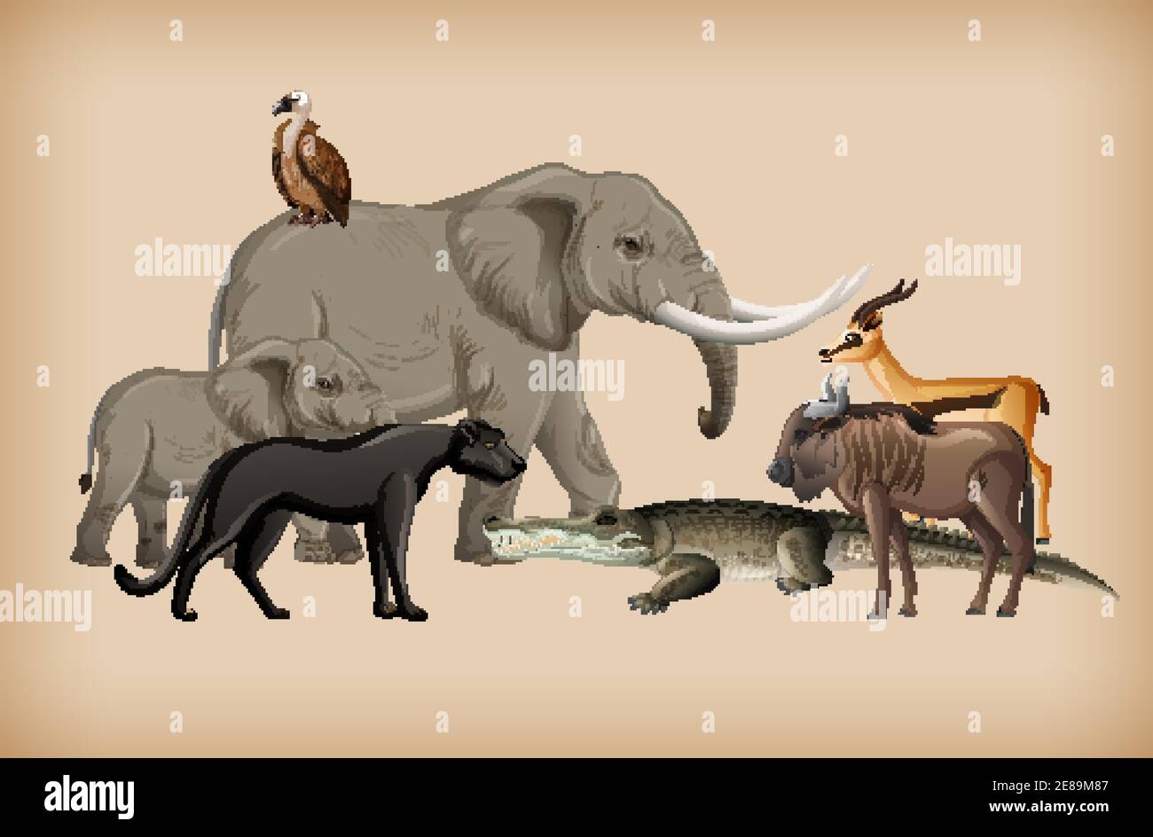 Group of wild animal on background illustration Stock Vector Image ...