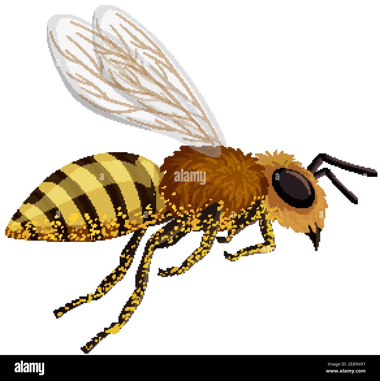 Isolated bee on white background illustration Stock Vector Image & Art ...