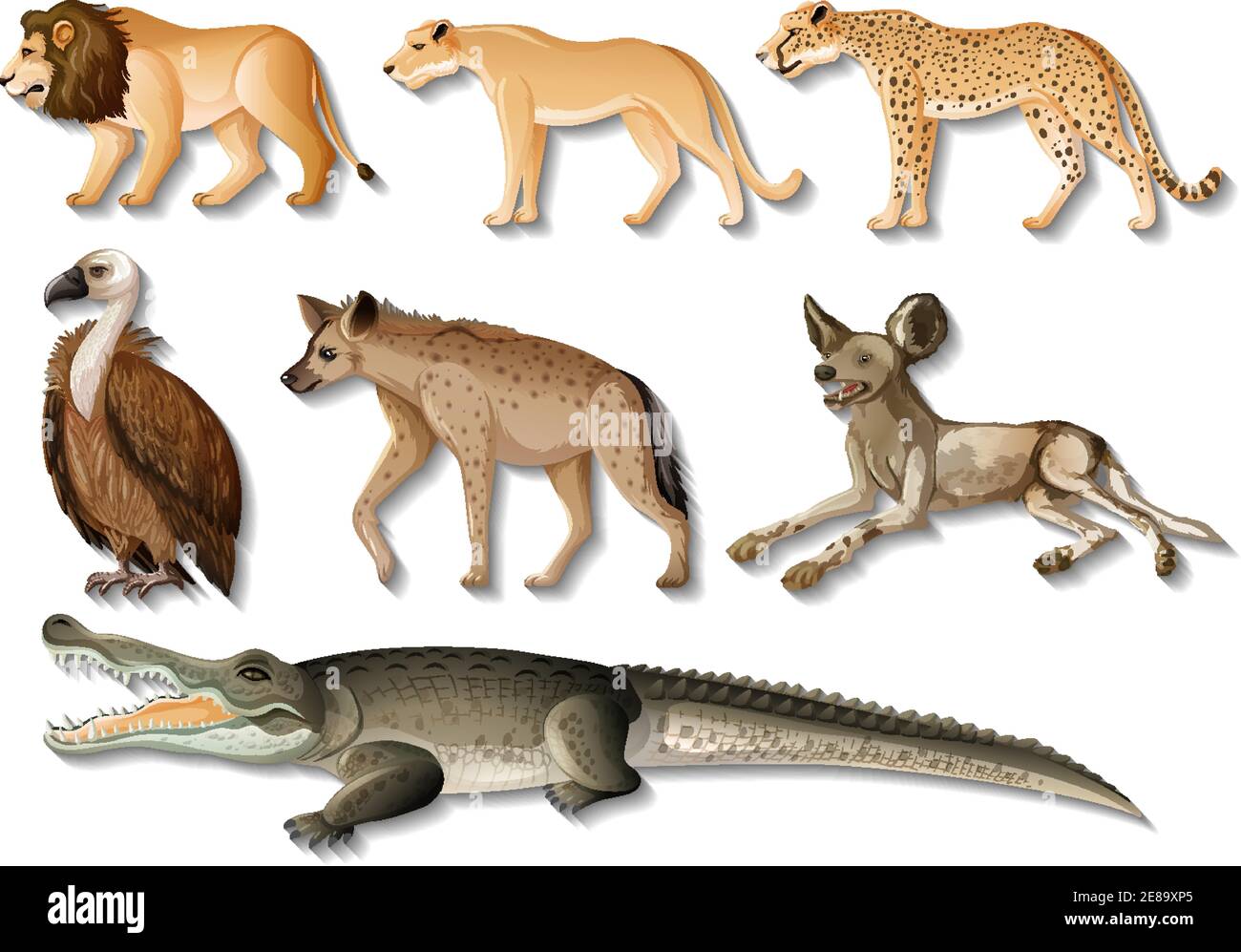 Set of isolated Wild African Animals on white background illustration ...