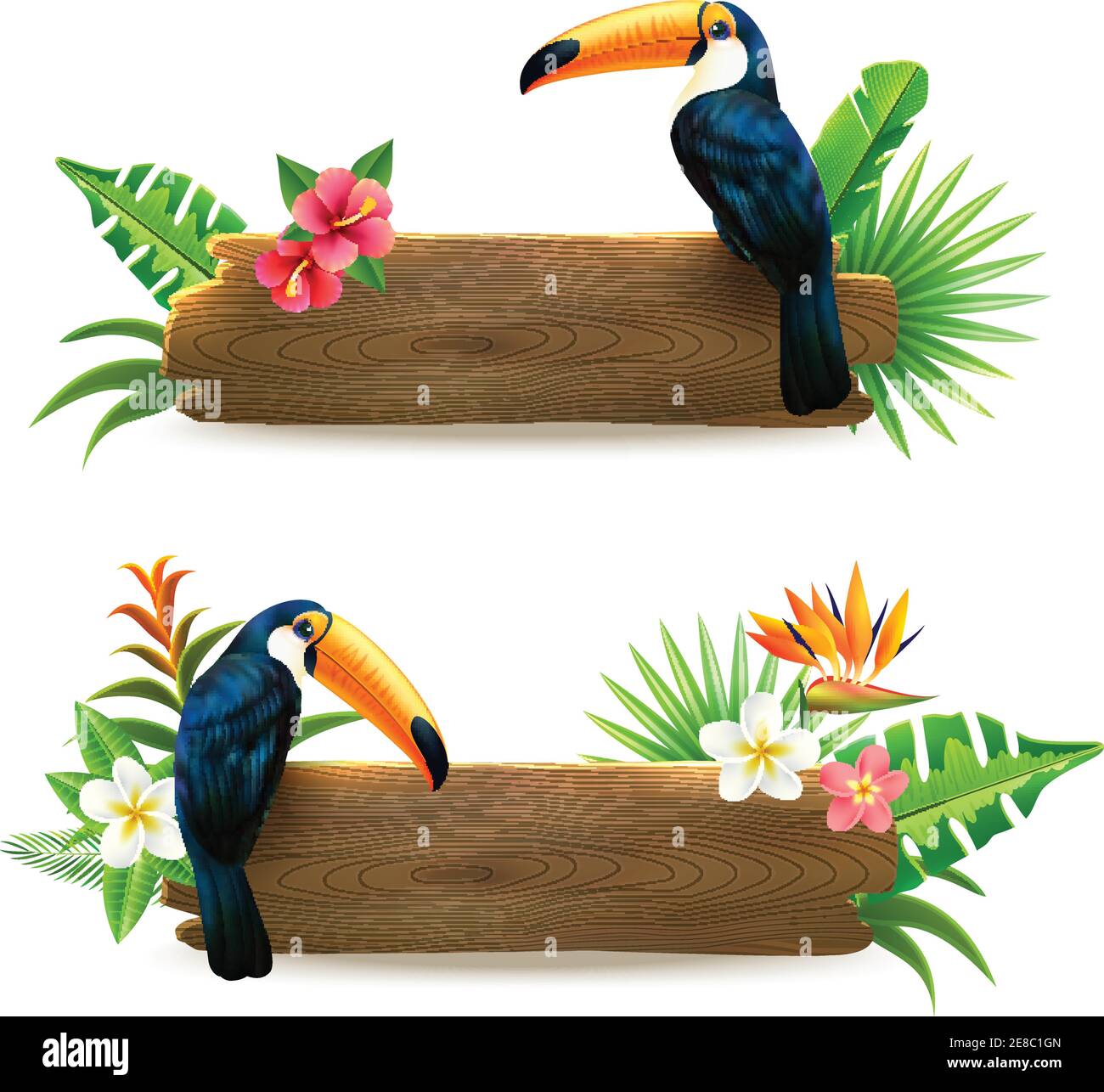 Toucan sitting on wooden board with tropical rain forest flowers 2 realistic banners set isolates vector illustration Stock Vector