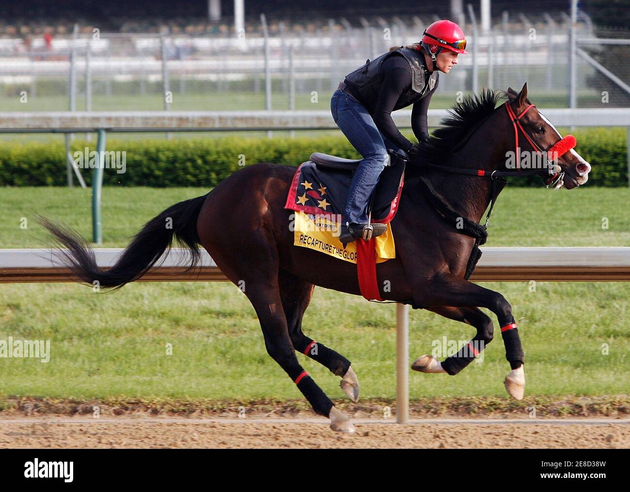 Kentucky Derby hopeful Recapturetheglory with exercise rider Lara Van Deren  gallop on the track during early morning workouts at Churchill Downs in  Louisville, Kentucky, April 28, 2008. Trainer Louie Roussel is preparing