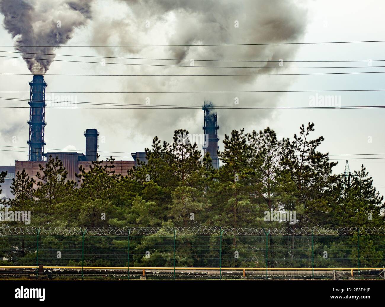 behind the trees, the chimneys of a large industrial enterprise smoke. Stock Photo
