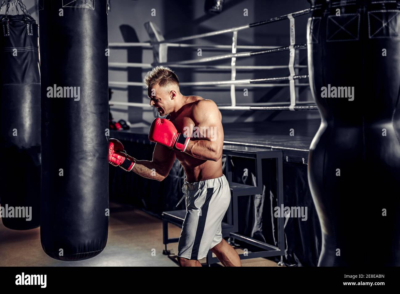 Boxer training on a punching bag in the gym Stock Photo - Alamy