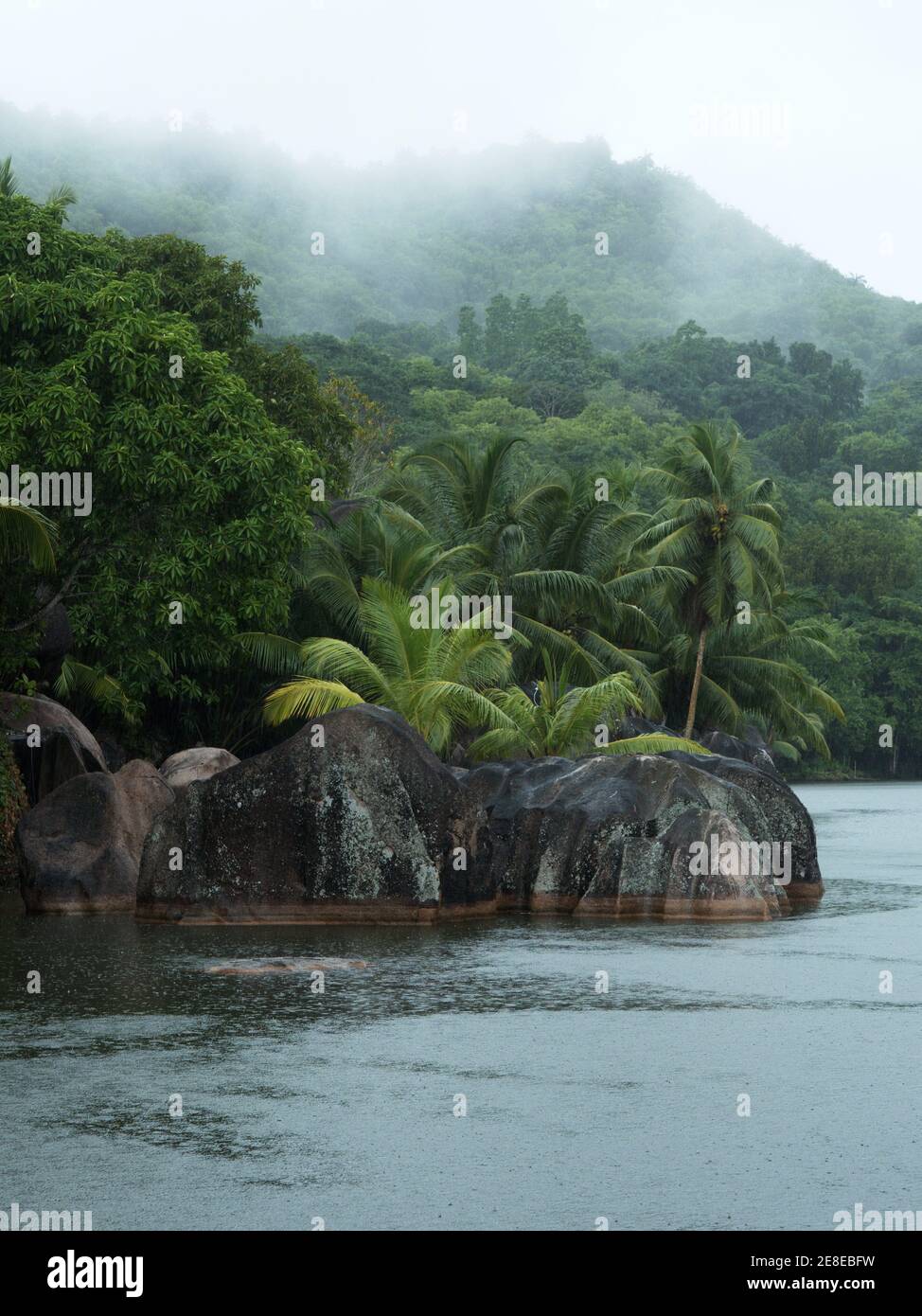 Tropical rain, seychelles Stock Photo