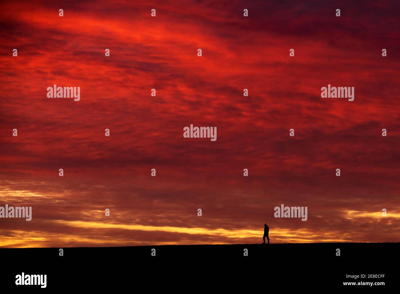 Bingham, Nottinghamshire, UK. 31st Jan 2021. A man is silhouetted against the dawn sky on Parsons Hill in Bingham, Nottinghamshire. Neil Squires/Alamy Live News Stock Photo
