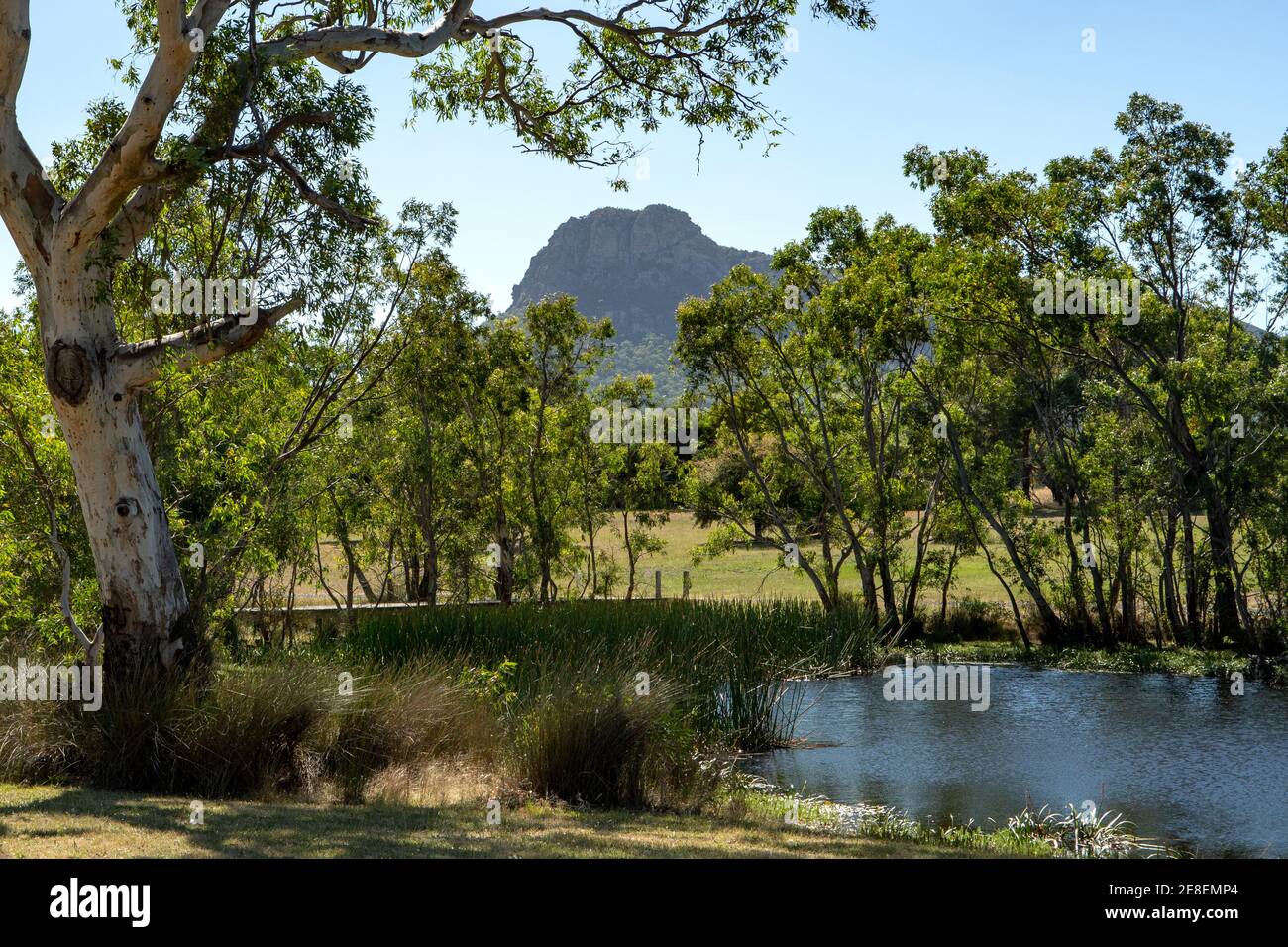 Mt Sturgeon from Dunkeld Arboretum, Southern Grampians, Victoria, Australia Stock Photo