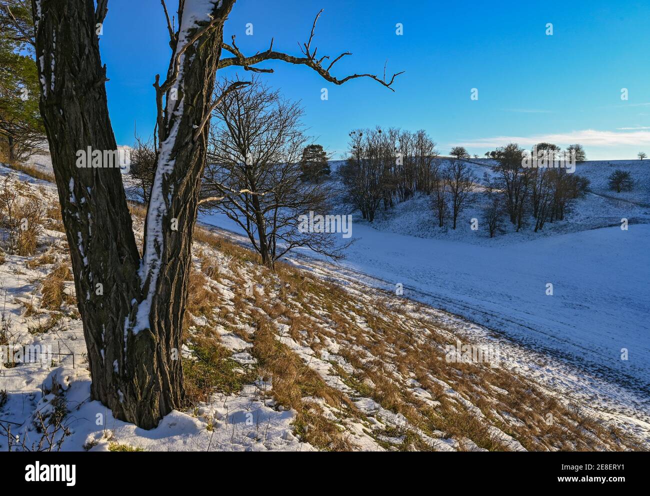 Mallnow, Germany. 30th Jan, 2021. A little snow lies on the slopes at the edge of the Oderbruch, a region in the east of the state of Brandenburg. Adonis florets bloom on these slopes in spring. Credit: Patrick Pleul/dpa-Zentralbild/ZB/dpa/Alamy Live News Stock Photo