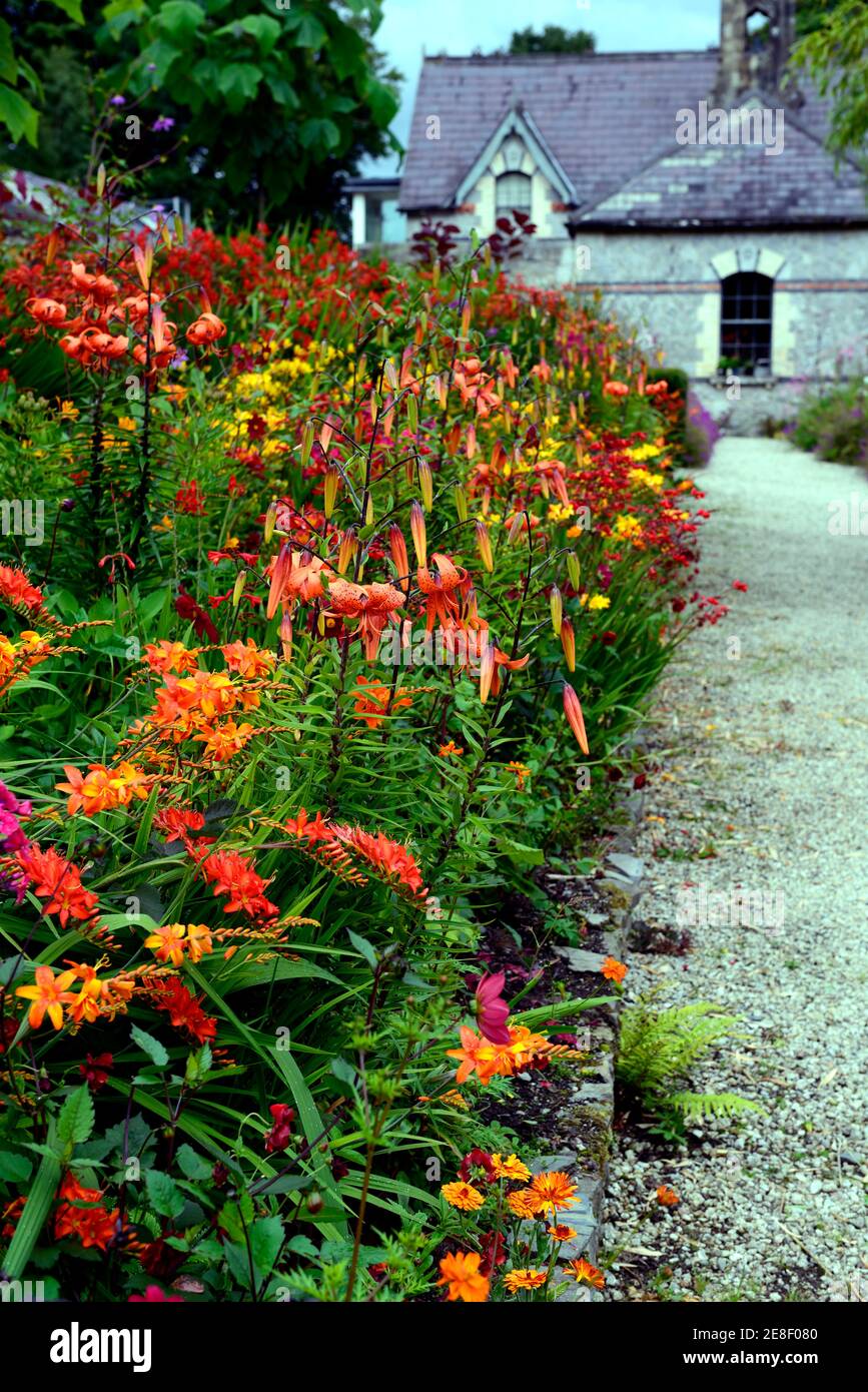 BORDERS at BALCONY - Lilly Buy Hugs and Kisses Carpet Border Lily Mixture | Breck's