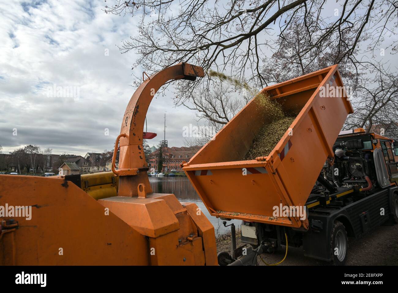 Professional heavy duty shredding machine blows the shredded twigs into a dump truck, during tree and shrub pruning work in the park, selected focus Stock Photo
