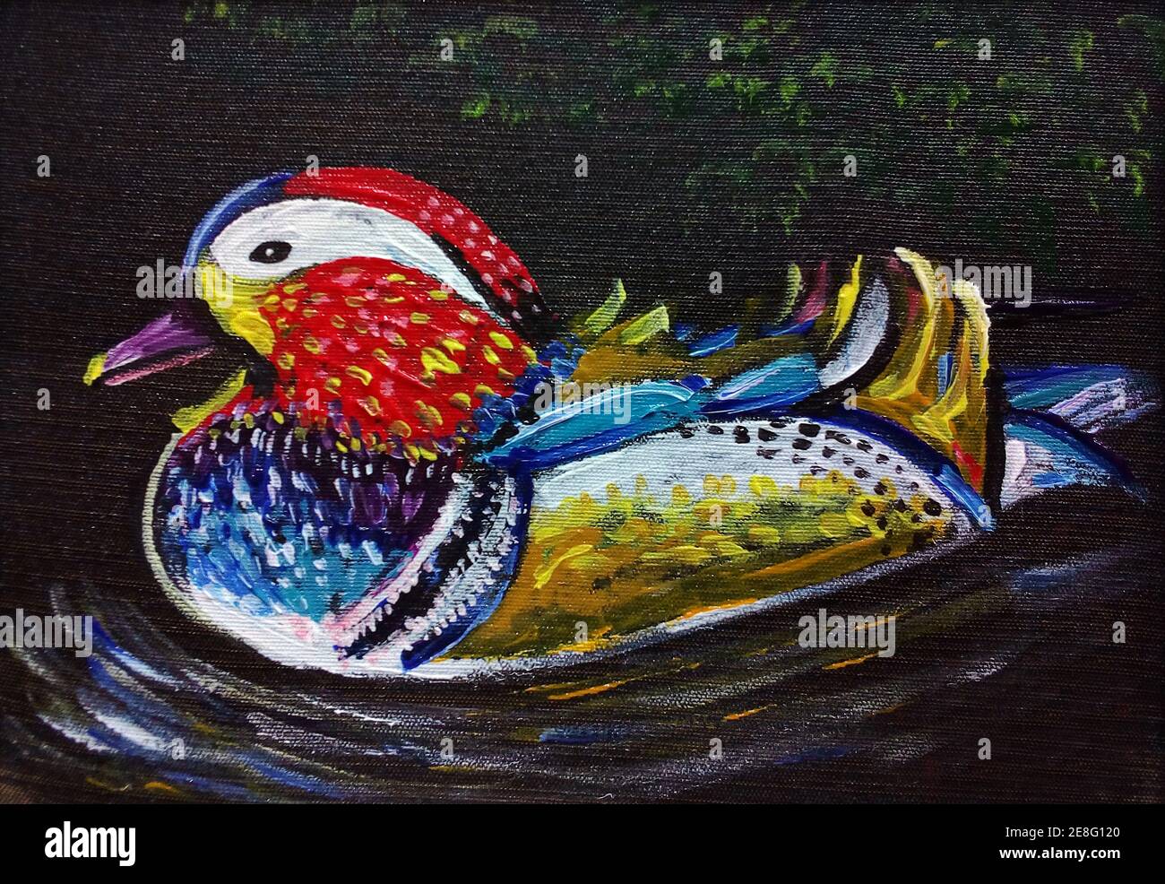 Art ,painting ,Acrylic,color ,Mandarin duck Stock Photo Alamy