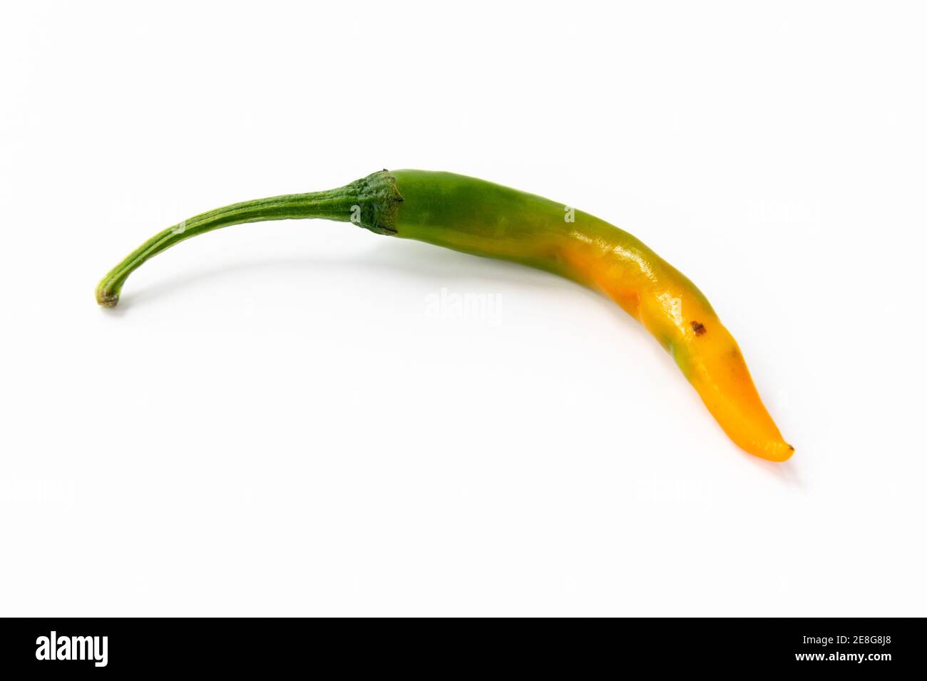 Cayenne chilli pepper isolated with a white background. Stock Photo