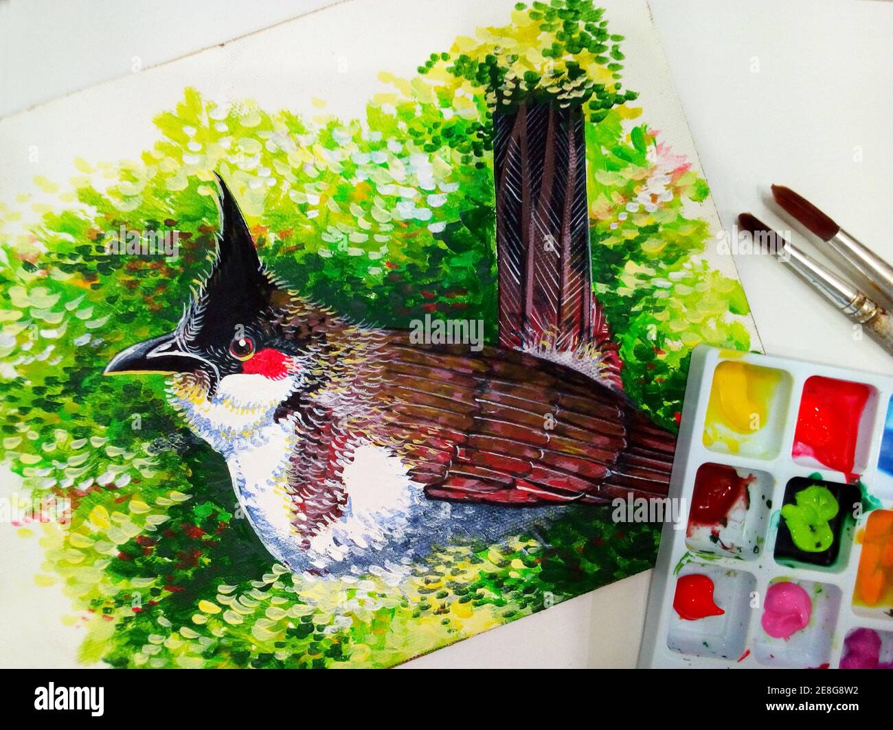 Orange-bellied Flowerpecker bird drawing Stock Illustration by  ©sirichai2514 #81498378