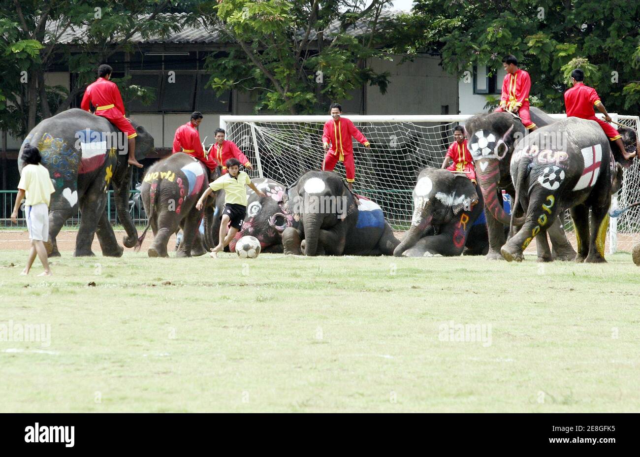 Thai students play soccer with elephants in Ayutthaya province, 80 km (50 miles) north of Bangkok, Thailand June 22, 2006. The match was held as a campaign against gambling during World Cup 2006 soccer.  REUTERS/Chaiwat Subprasom (THAILAND) Stock Photo