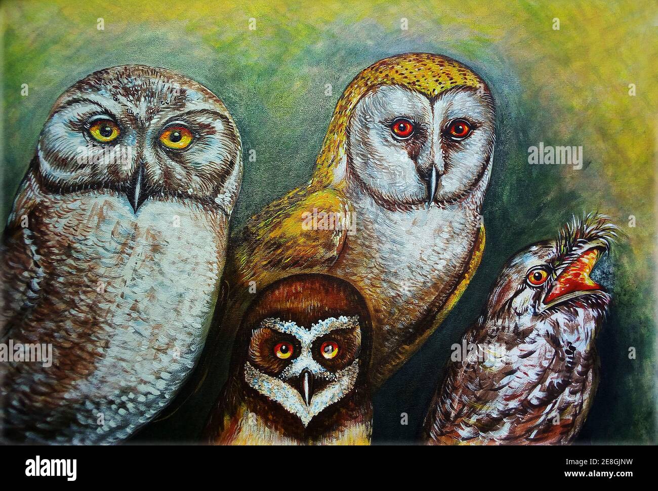 Art ,painting  oil  color, Smiling cute ,owl ,Thailand ,  ferocious , wild animals Stock Photo