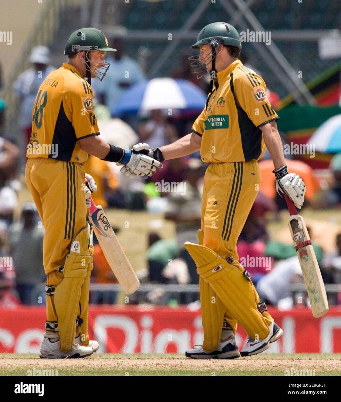 Australai's David Hussey (R) shakes hands with his brother Michael after he batted half century during their final one-day cricket international against West Indies in Basseterre, St. Kitts July 6, 2008.       REUTERS/Andy Clark        (ST KITTS) Stock Photo