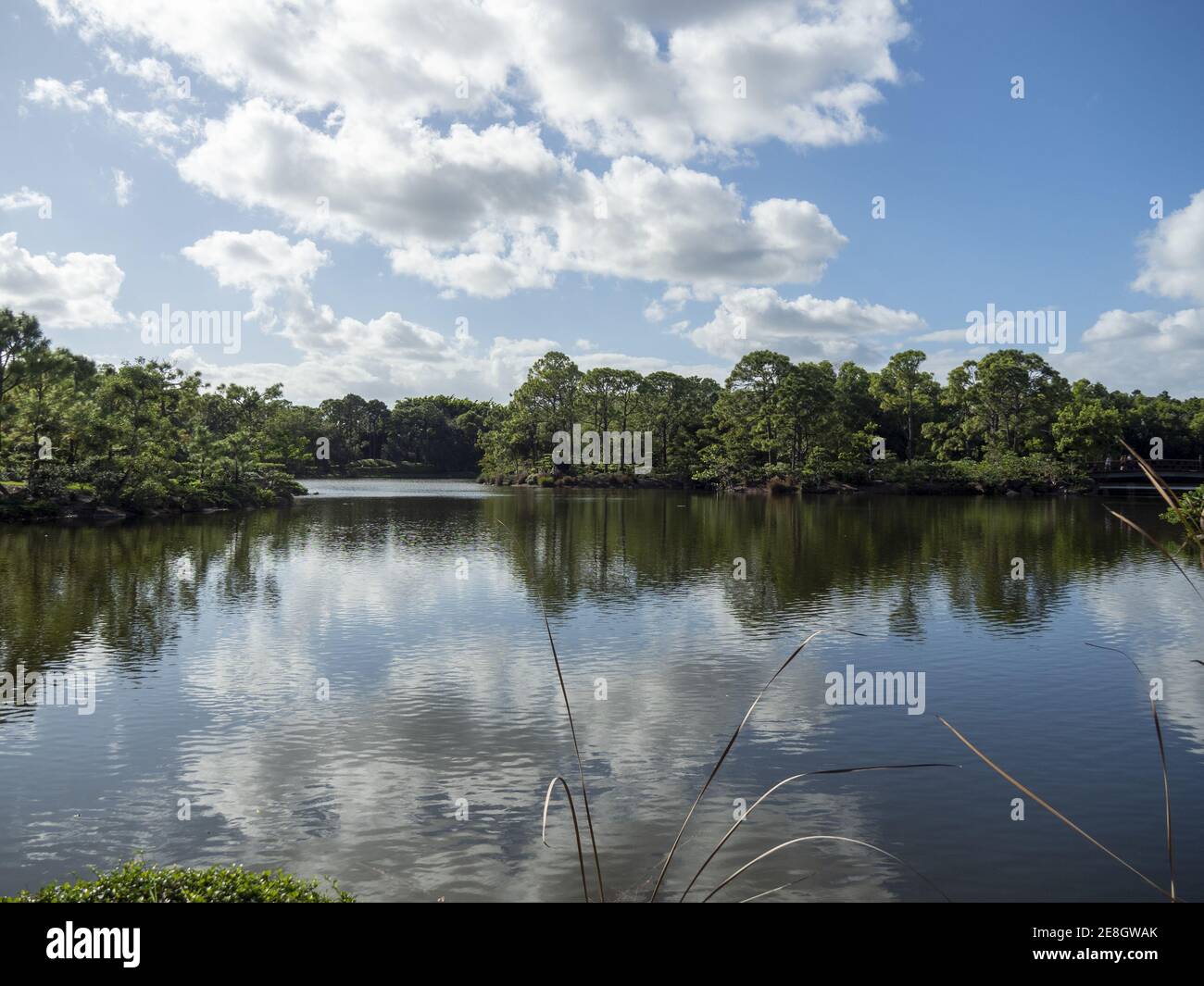 A beautiful lake in the park against the cloudy blue sky in summer ...