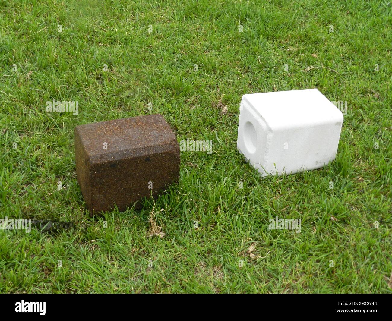 Reasons Why Salt Lick For Cattle Is The Best Nutrition!