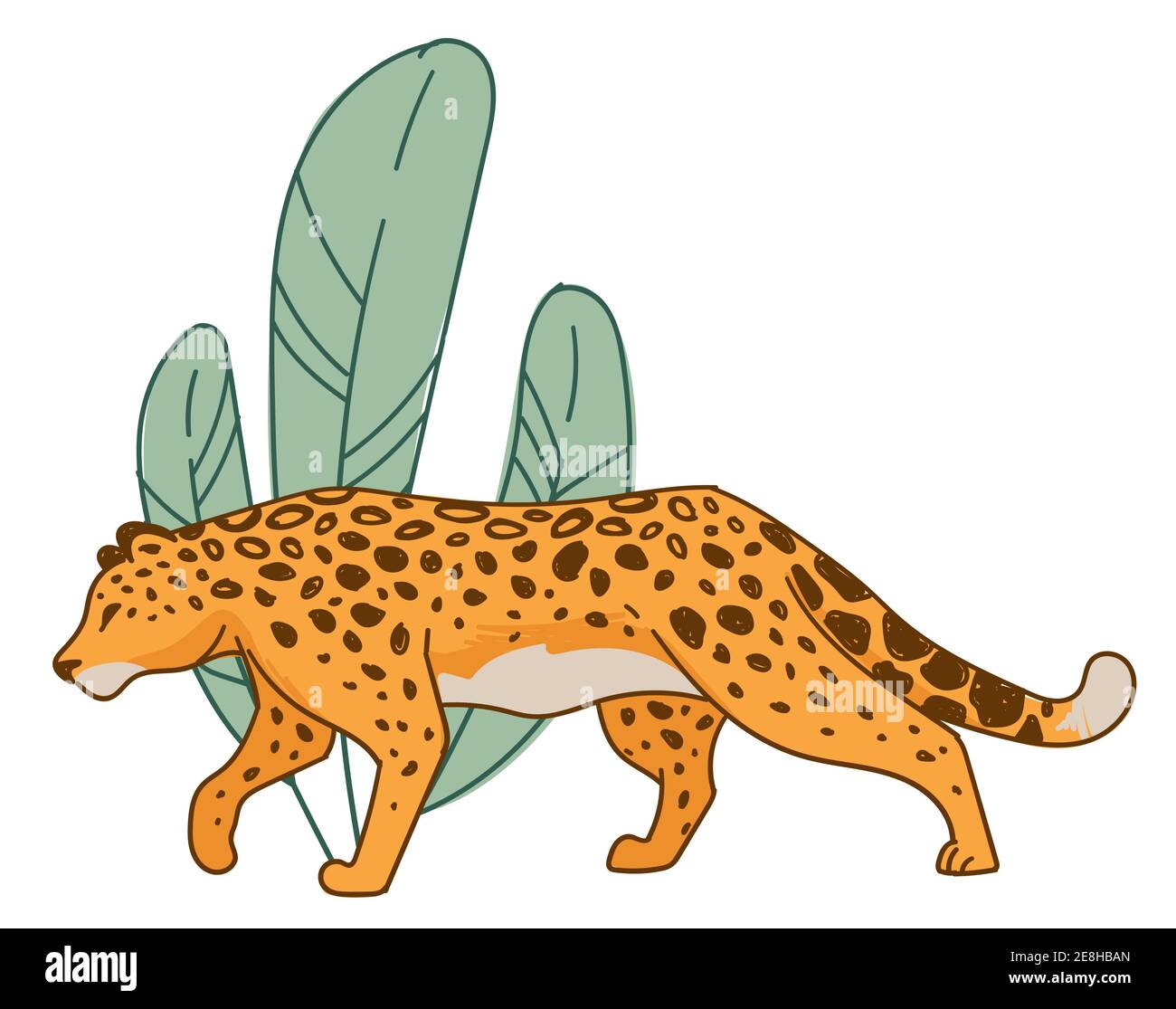 Hunting cheetah, feline animal hiding by leaves Stock Vector