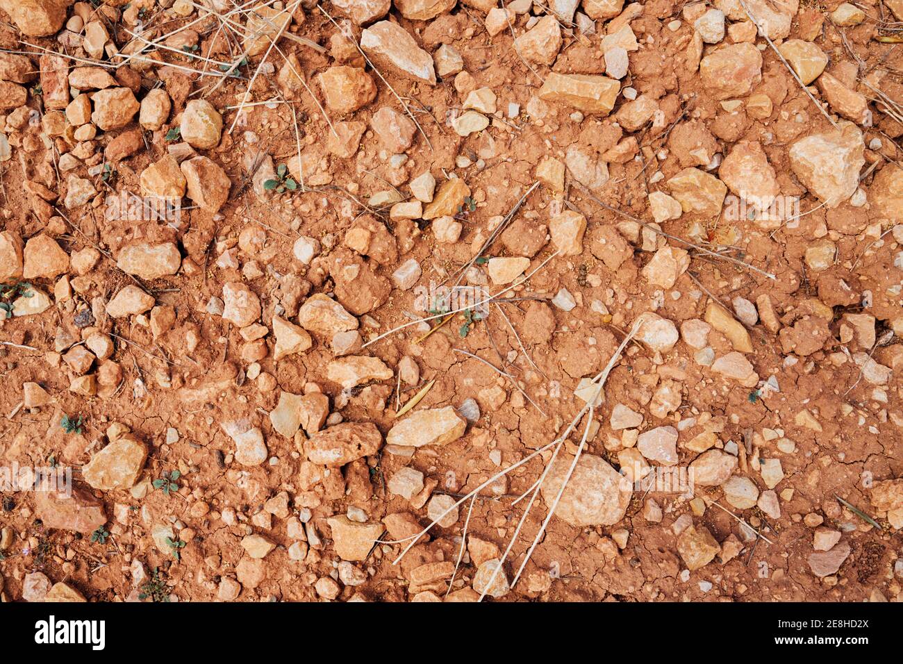 Ground texture background with stones Stock Photo
