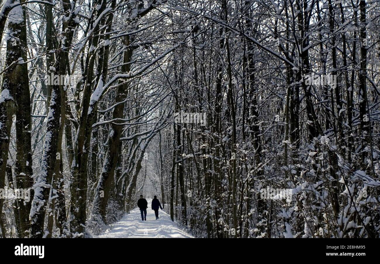 People walk on a winter morning in a park in the western Austrian city of Dornbirn some 20 kms (13 miles) from lake Constance, February 11, 2006. Parts of Austria and [Germany issued weather catastrophe warnings on Thursday as heavy snowfall was forecast before the weekend in the south and rivers began flooding in the east due to rising temperatures. German meteorologists in the south said they have seen the heaviest snowfall in a decade.] Stock Photo
