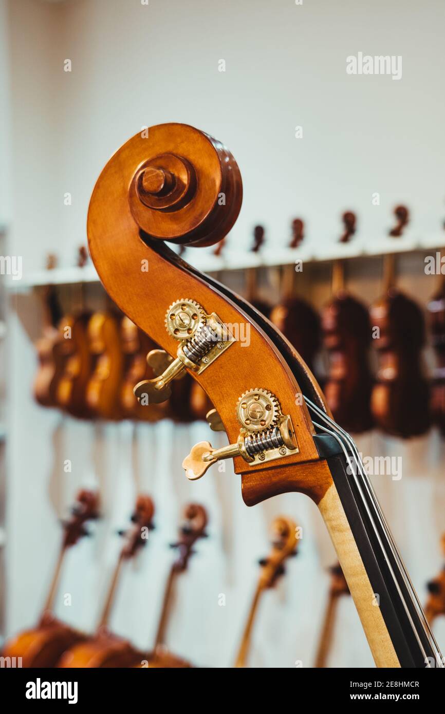 Modern violin curvy scroll with pegs against collection of acoustic ...