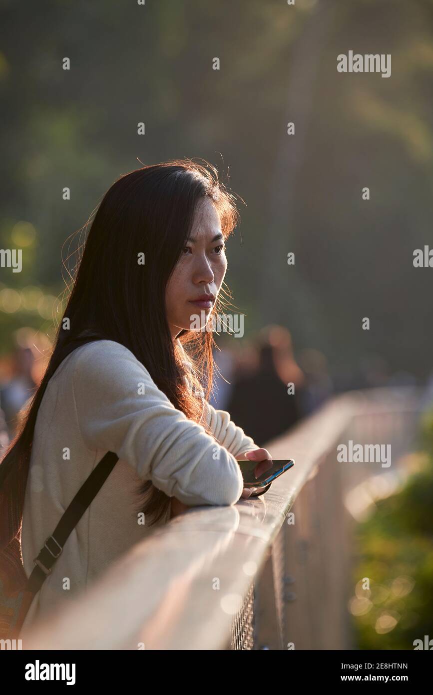 Side view thoughtful young Asian female in casual clothes leaning on footbridge railing and looking away in verdant lush forest on sunny day Stock Photo