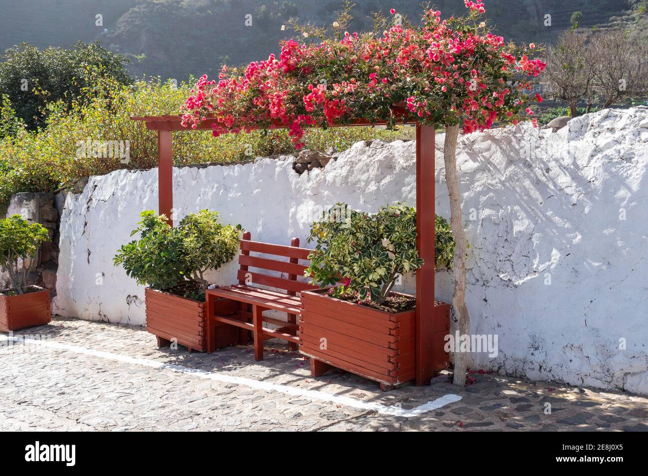 Bench with flower decoration, Agulo, La Gomera, Canary Islands, Spain Stock Photo