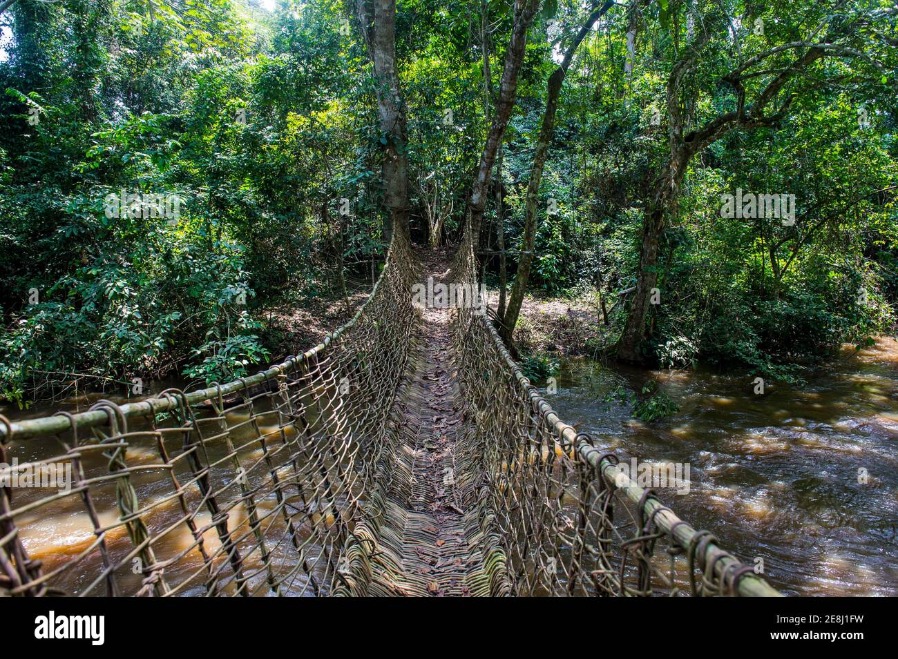 Hand made vine bridge in the Unesco world heritage sight Dzanga-Sangha Park Central African Republic Stock Photo