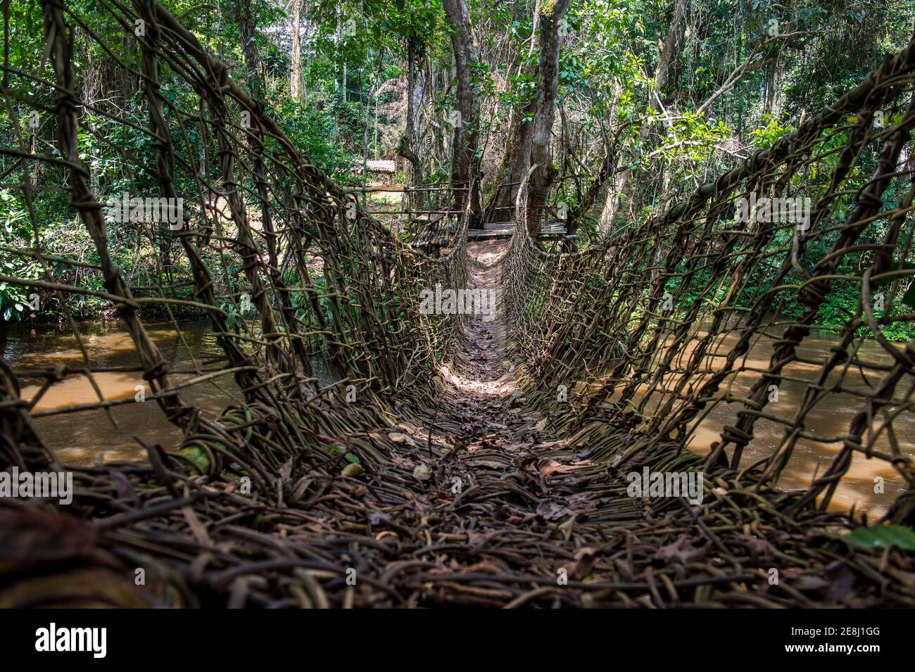 Hand made vine bridge in the Unesco world heritage sight Dzanga-Sangha Park Central African Republic Stock Photo