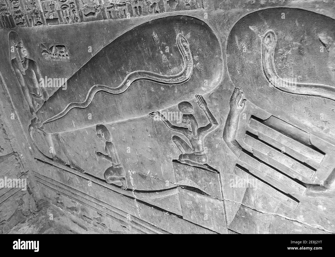 Egypt, Dendera temple, in a room, strange scene called "light bulb", sometimes (wrongly) seen as a proof that Ancient Egyptians knew electricity. Stock Photo